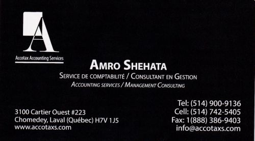 Amro Shehata - Consultant en Gestion